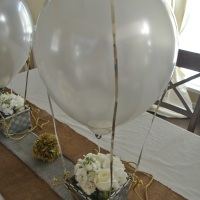 My Love is in the (Hot) Air (Balloon) Bridal Shower