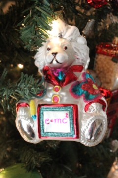 Einstein Bear Ornament