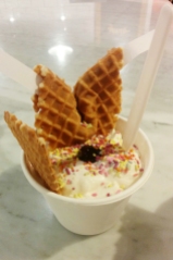 Jeni's Splendid Ice Cream Charleston Sundae Conversation Cookie Sprinkles copy